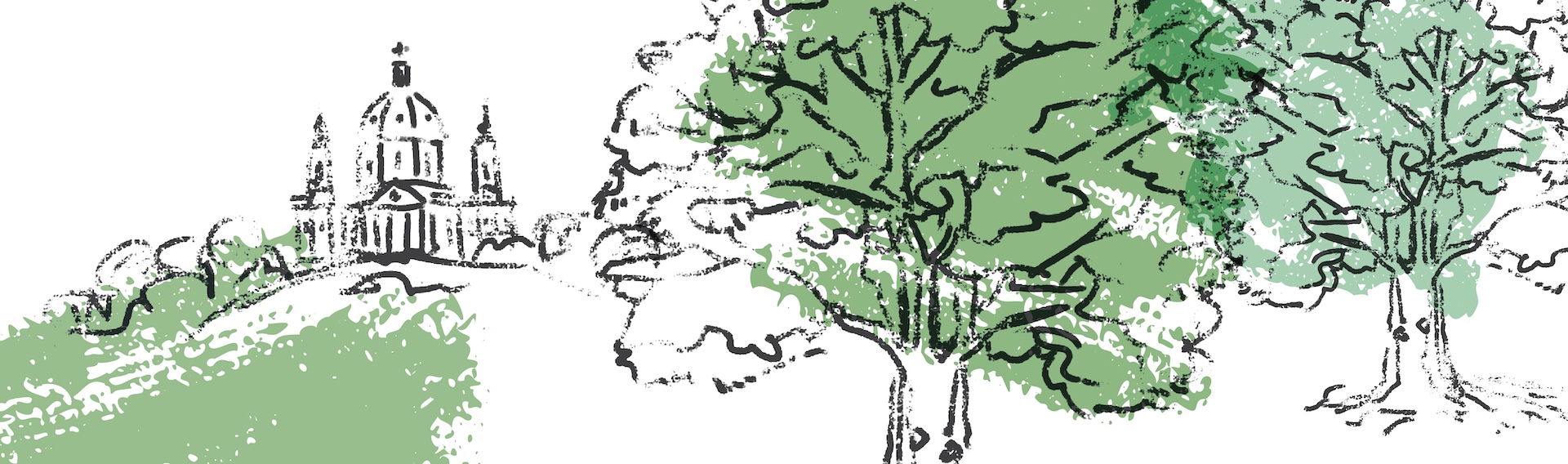 Naturaleza