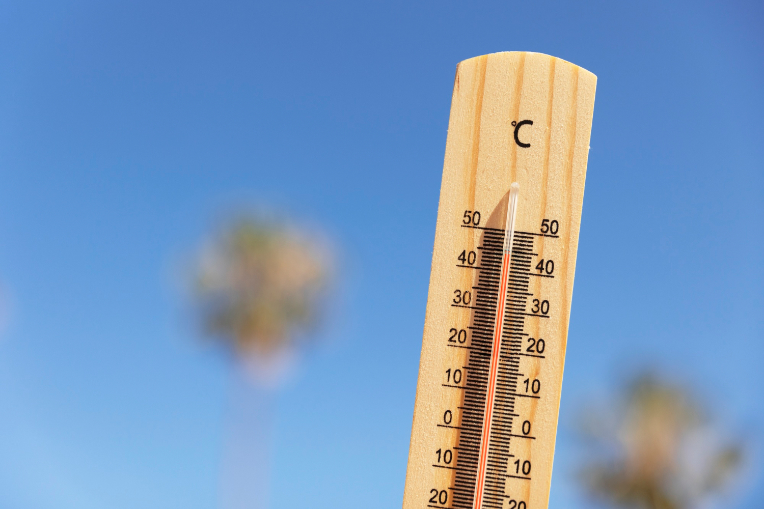 Olas de calor: medidas de seguridad